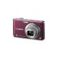 Panasonic LUMIX DMC-FS30EG-V digital camera (14 megapixel, 8x opt. Zoom, 6.86 cm display, image stabilizer) eggplant (Electronics)
