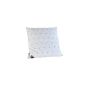 Badenia Bettcomfort 03840710123 cushion Irisette Dreams 80 x 80 cm white (housewares)