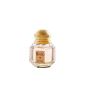 Page Parfums - Elodie Women - Eau de Parfum / Spray - 100 ml (Personal Care)