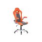 HJH 621700 OFFICE swivel chair / office chair RACER SPORT Orange / White (Kitchen)
