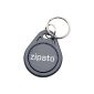 Zipato rfidtagkey.blk Badge small RFID fits on a key holder Gray (Tools & Accessories)