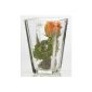 Glass vase SQUARE Vase glass table vase vase square conical, 21cm
