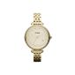 Fossil Ladies Watch Stainless Steel Quartz Analog XS coated ES3181 (clock)