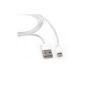 VEO | 8 pin cable for charging and sync cable for iPhone 6, 6 More iPhone, iPhone 5, iPad Mini, iPad 4G, iPod Touch 5G Nano 7G, WHITE, 1 METRE (Electronics)