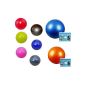 Exercise ball exercise ball fitness ball ball + pump size: 65 cm, Color: Red (Misc.)