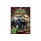 World of Warcraft: Mists of Pandaria (add-on) (computer game)