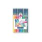 Staedtler 323 SB10 triplus color fiber pens, 10 pieces in tiltable Staedtler Box (Office supplies & stationery)