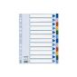 Leitz Plastic blank Register, A4, PP, 12 sheets, colored (Office supplies & stationery)