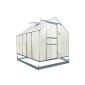 Zelsius® - Set: 5,9 m² Aluminium greenhouse + foundation, garden greenhouse, 310 cm x 190 cm, 6 mm twin-wall wall sheets, including foundation.