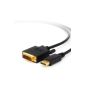 CSL - 2m (meters) HQ Premium DisplayPort (DP) to DVI cable | Certified / HDCP and EDID | Full HD Ausflösung | 24K gold-plated contacts / 3 layers of shielding | Graphics cards / Apple and PC / projector / monitor (electronic)