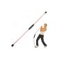 2 x Original Swing Stick incl. DVD and exercise poster (Misc.)