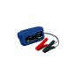 Einhell BT-BC 2 D battery charger, 2 A output current, automatic charging, LED indicators, and for gel batteries (Automotive)