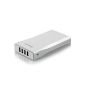 EasyAcc® 12000mAh Power Bank 4 USB output (5V 0.5A - 2.1A) Mobile Charger External Battery Pack for iPhone, iPad, Smartphones, Tablets 5V, GPS, Bluetooth speakers, charging 4 devices simultaneously - Colour: white (optional)