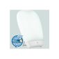 Daylight WL3 light therapy device with medical CE (MDD) Lichtdusche 10,000 LUX 2x36 W Philips tubes Melissa