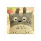 Cartoon Totoro pillow, My Neighbor Totoro Cushion, Square