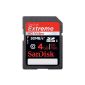 SanDisk - SDSDX-004G-X46 - SDHC Memory Card HD Video - Extreme - Class 6 - 20MB / sec - 4GB (Personal Computers)