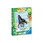 Ravensburger 28092 - horse on the beach - Paint by numbers, 18 x 24 cm (toys)