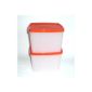 Tupperware © freezing container 800ml (2) White Red (Kitchen)