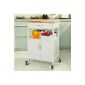 SoBuy trolleys, kitchen trolleys, trolley, beverage delivery trucks for the office, FKW22-WN
