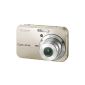 Sony DSC-N2 Cyber-shot digital camera (10 megapixel) (Electronics)