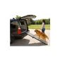 Pet Gear Three-piece dog ramp, collapsible (Misc.)