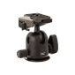 Manfrotto 496RC2 Compact ball head (420g, max. 6kg Carrying power, 10cm working height) incl. 200PL quick release plate (Electronics)