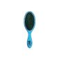 The Wet Brush Classic, blue, 1 piece (Personal Care)