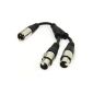XLR adapter Plug To 2 x XLR Female Cable Cord 25cm (Electronics)