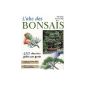 ABC Bonsai (Paperback)