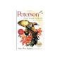 Peterson Field Guide to Birds of North America (Paperback)