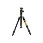 Rollei C5i II + T3S - tripod with ball head and spikes in the set (load up to 10 kg) (Accessories)