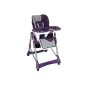 Highchair Highchair with safety belt system, height adjustable, foldable (choice of color) (Baby Product)