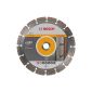 BOSCH Diamond cutting disc Standard for Universal, 230 x 22.23 x 2.3 x 10 mm, 1-pack, 2608602195 (tool)