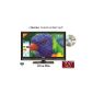 HD LED TV + DVD 39.6 CM for camper 220v / 12v / 24v (Electronics)