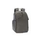 Lowepro Transit Backpack 350 AW Anthracite (Electronics)