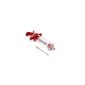 GRILLPRO marinade syringe (garden products)