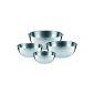 Silit 22739911 kitchen bowl set, 4-piece (household goods)