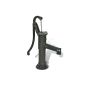Manual garden water pump (Miscellaneous)
