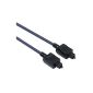 Hama Optical digital cable 2x ODT Toslink 5m (Electronics)