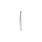 Zwilling Classic Tweezers Chisel Tip Stainless steel Anti rust (Health and Beauty)