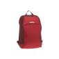 Samsonite laptop backpack Motio Laptop Backpack M 15.6 inches (Luggage)