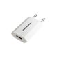 White to USB Charger for iPhone 5, iPhone 6, iPhone 4 & 4S, iPhone 3GS / 3G, iPod Touch, Galaxy S, Galaxy Note (Electronics)