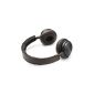 Bang & Olufsen BeoPlay H8 over-ear headphones, dunkelbaunes leather details gray hazel battery max.14 hours (Electronics)