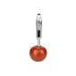Silit tomato stalk remover Tommi (household goods)