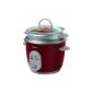 Easter CKSTRC4723-050 rice cooker, 0.6 l (household goods)