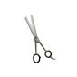Hair thinning scissors to thin stainless steel 17 cm (Miscellaneous)