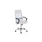 WASHINGTON CLP Office chair, office chair at unbeatable price, Seat height: 47 - 55 cm white