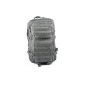 Army Military Camouflage Backpack US Assault MOLLE pack 36 L Foliage (Miscellaneous)
