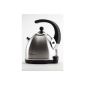 Noble, beautiful quieter kettle