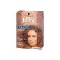 Poly Lock Normal perm, 5-pack (5 x 160 ml) (Health and Beauty)